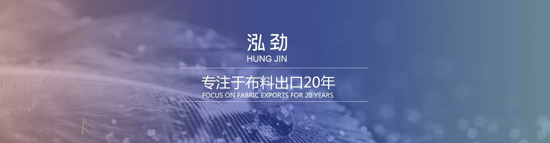 泓劲 - 专注于布料出口20年